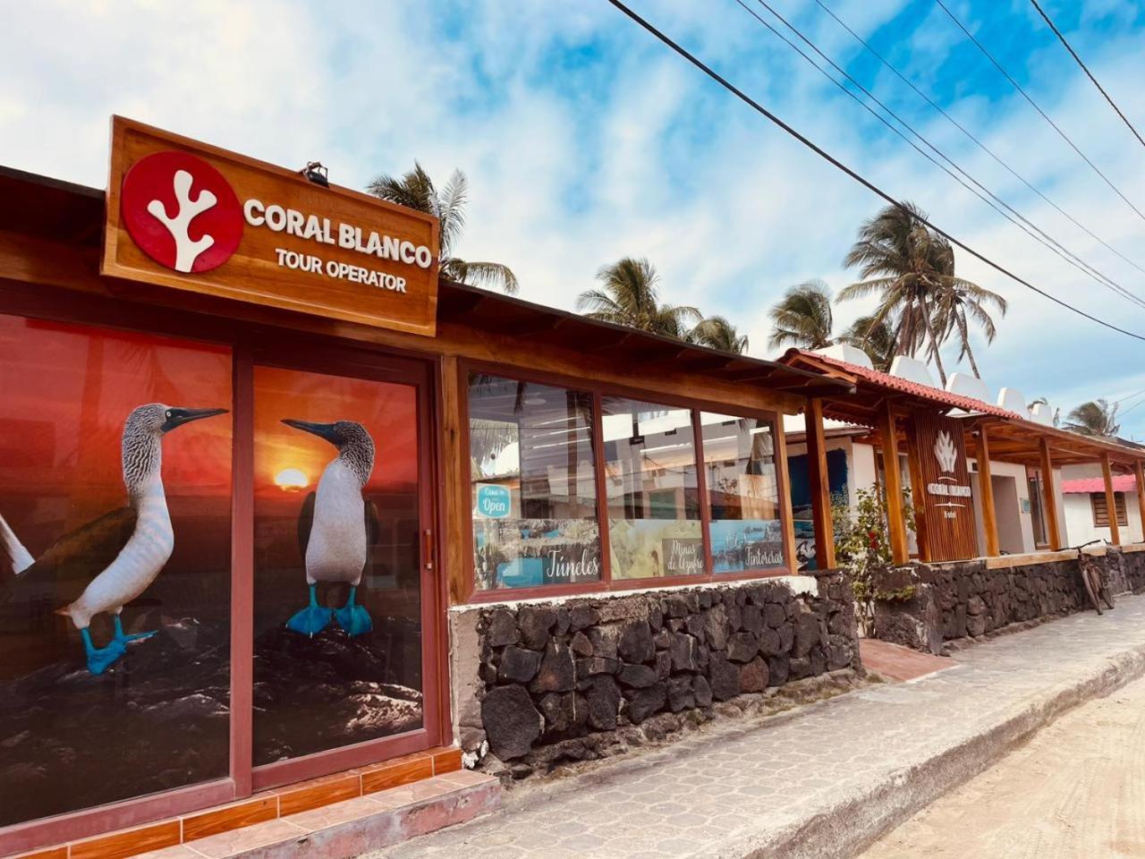 Hotel Coral Blanco With High Speed Internet Starlink And Galapagos Tour Operator 푸에르토빌라밀 외부 사진